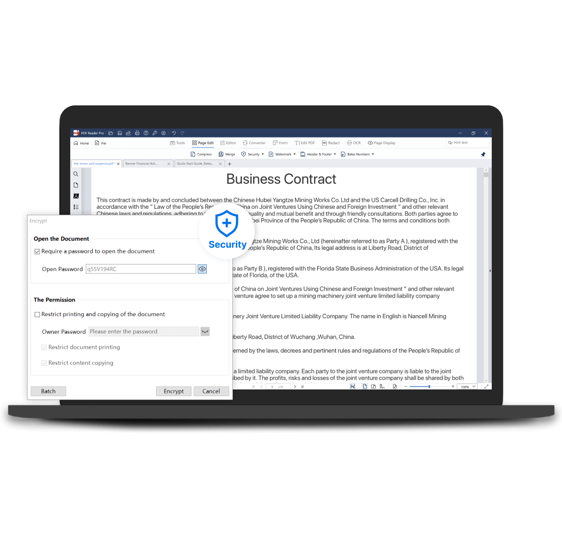 pdf security